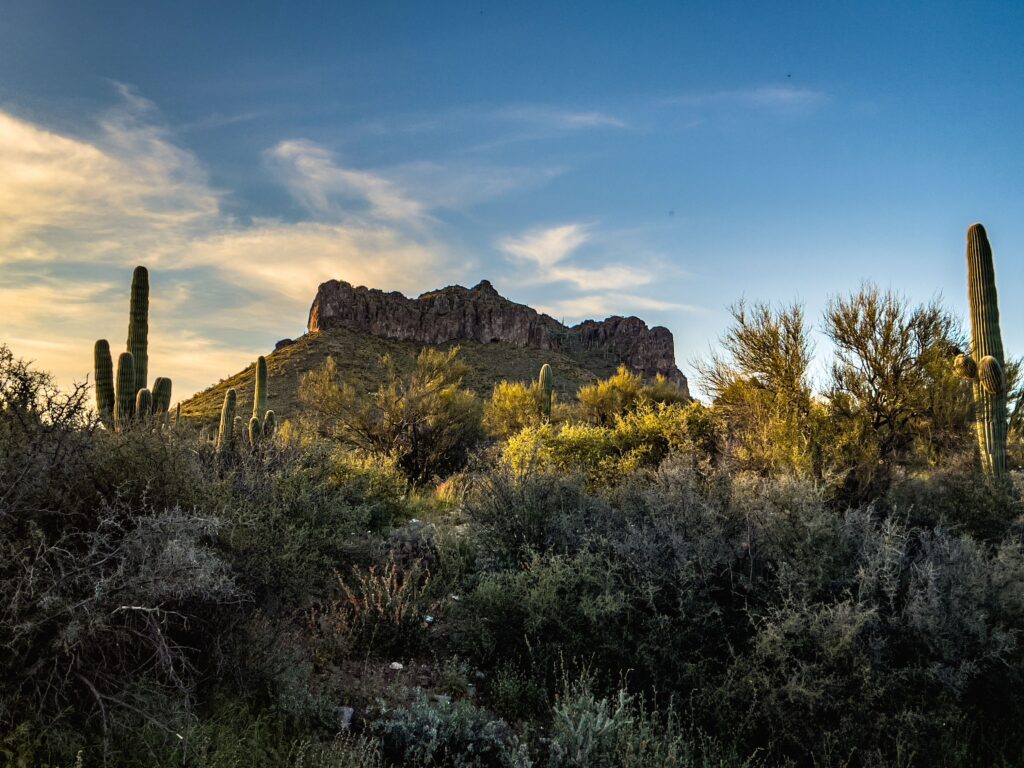 Arizona desert scene