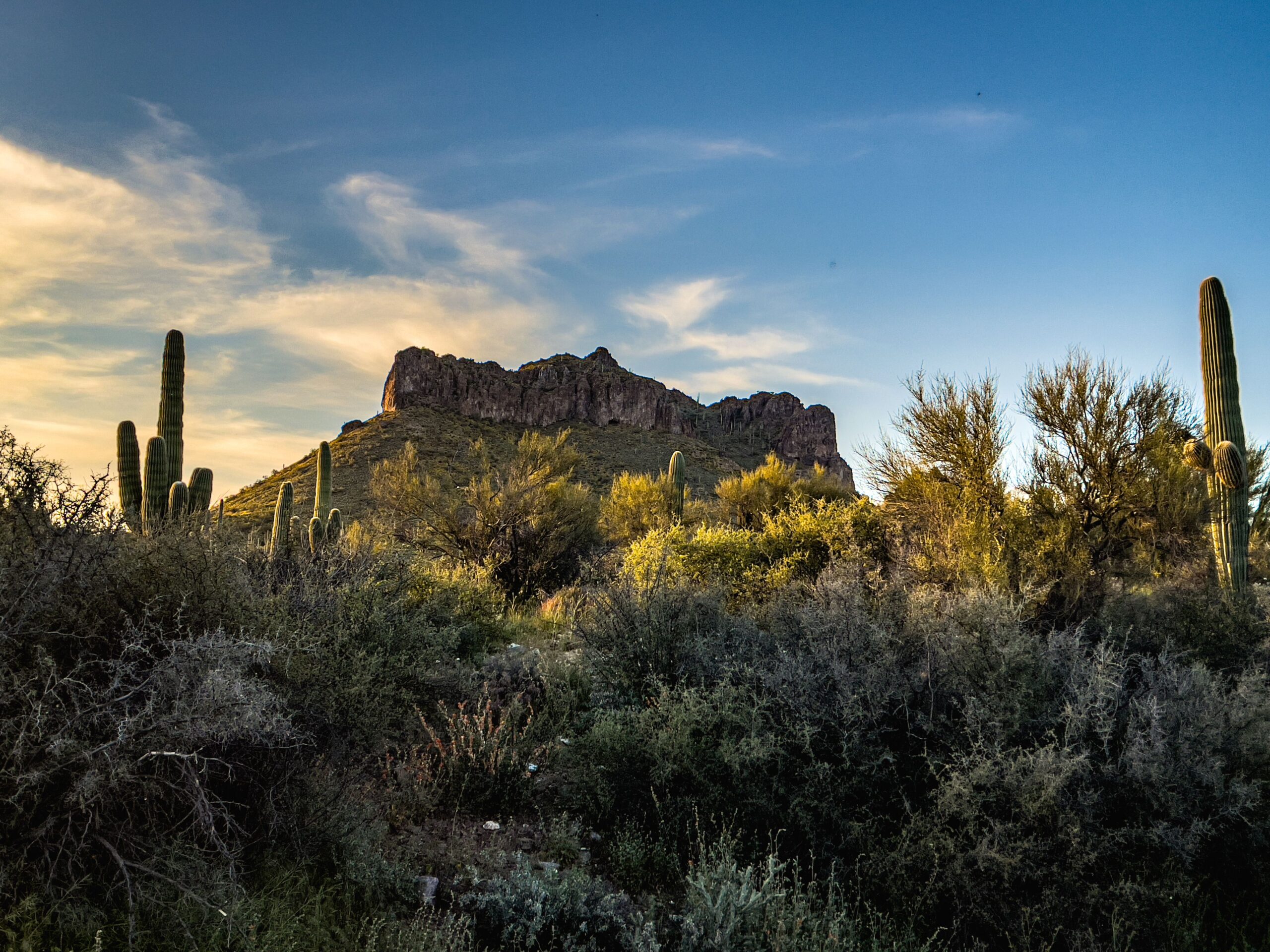 Arizona desert scene